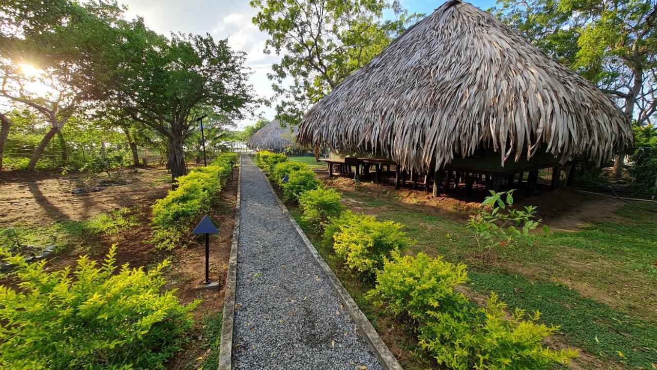 Yala Lake View Cabanas Тиссамахарама Экстерьер фото